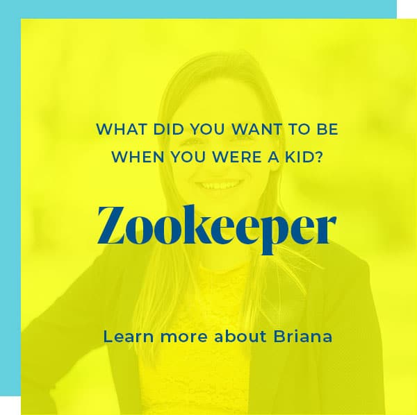 Briana Haney<br><strong>Account Manager & Sr. Recruiter</strong>
